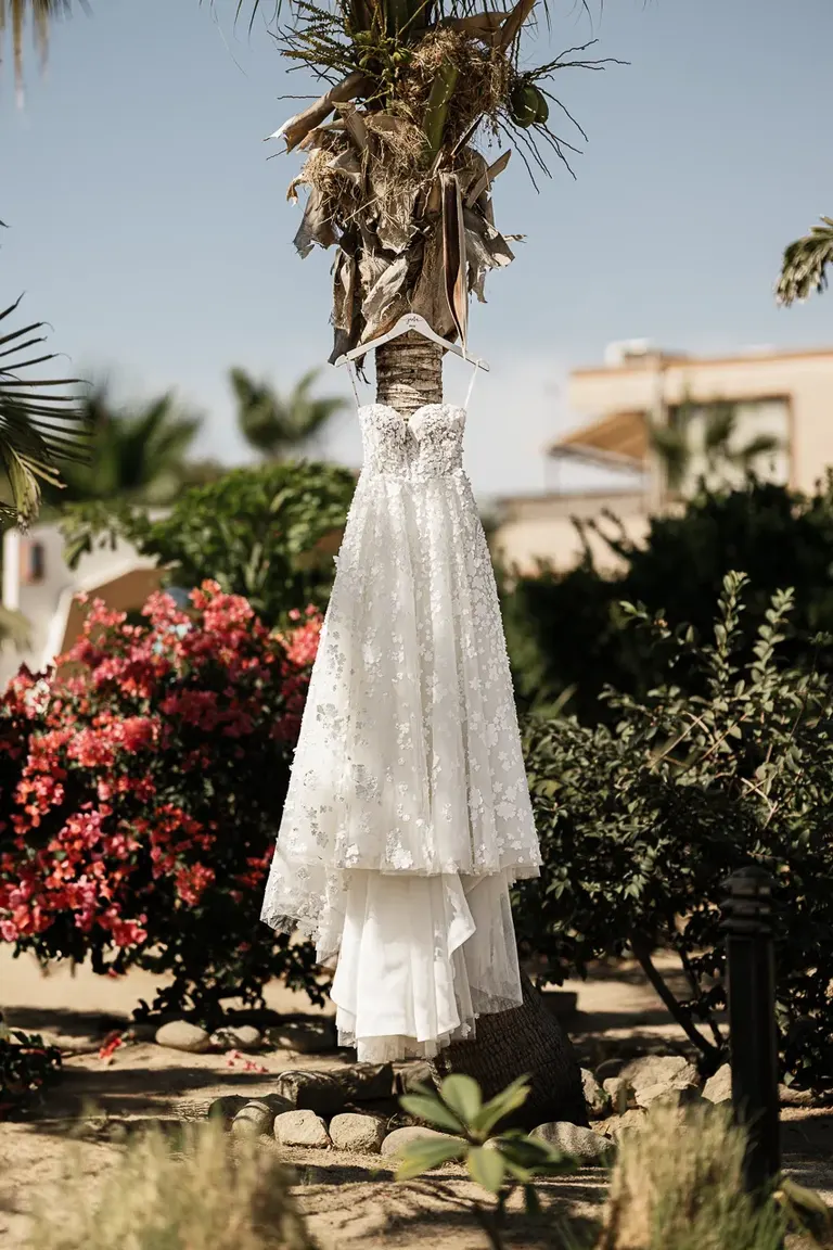Cabo wedding photography by Carlos Plazola