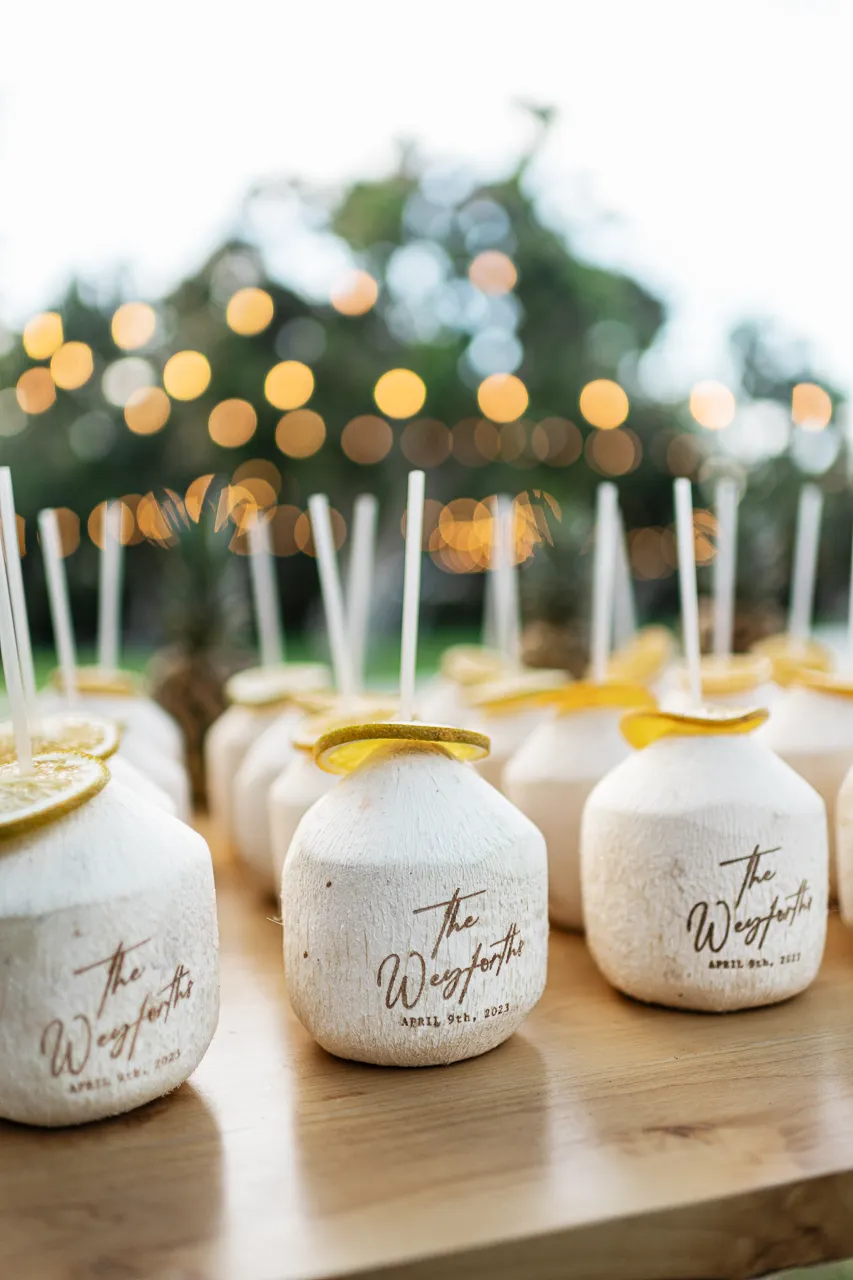 Fallon Peter wedding in Los Cabos — photography by Carlos Plazola