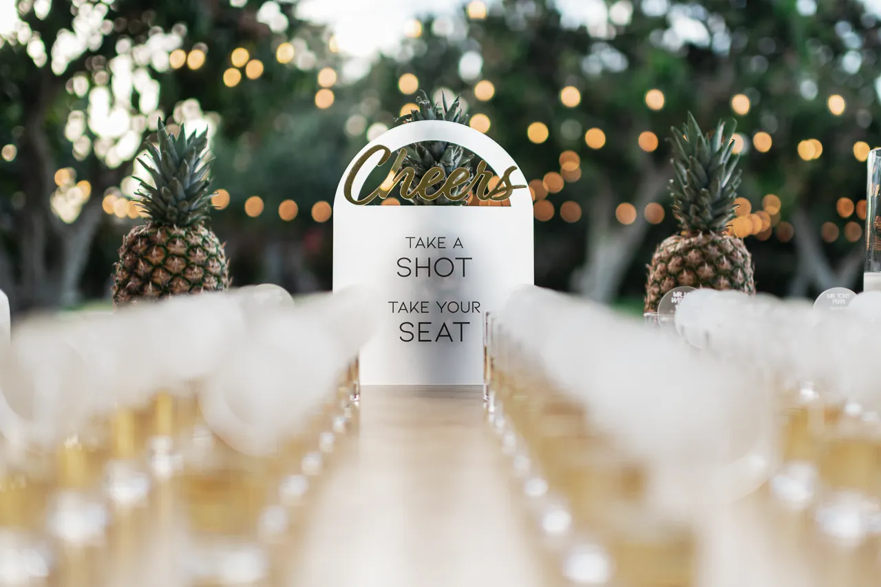Fallon Peter wedding in Los Cabos — photography by Carlos Plazola