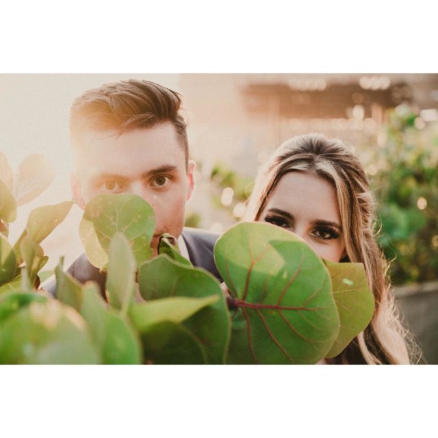 Carlos Plazola Instagram — Cabo wedding photography 4