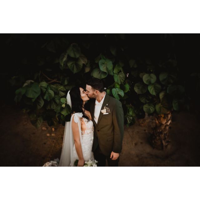 Carlos Plazola Instagram — Cabo wedding photography 5