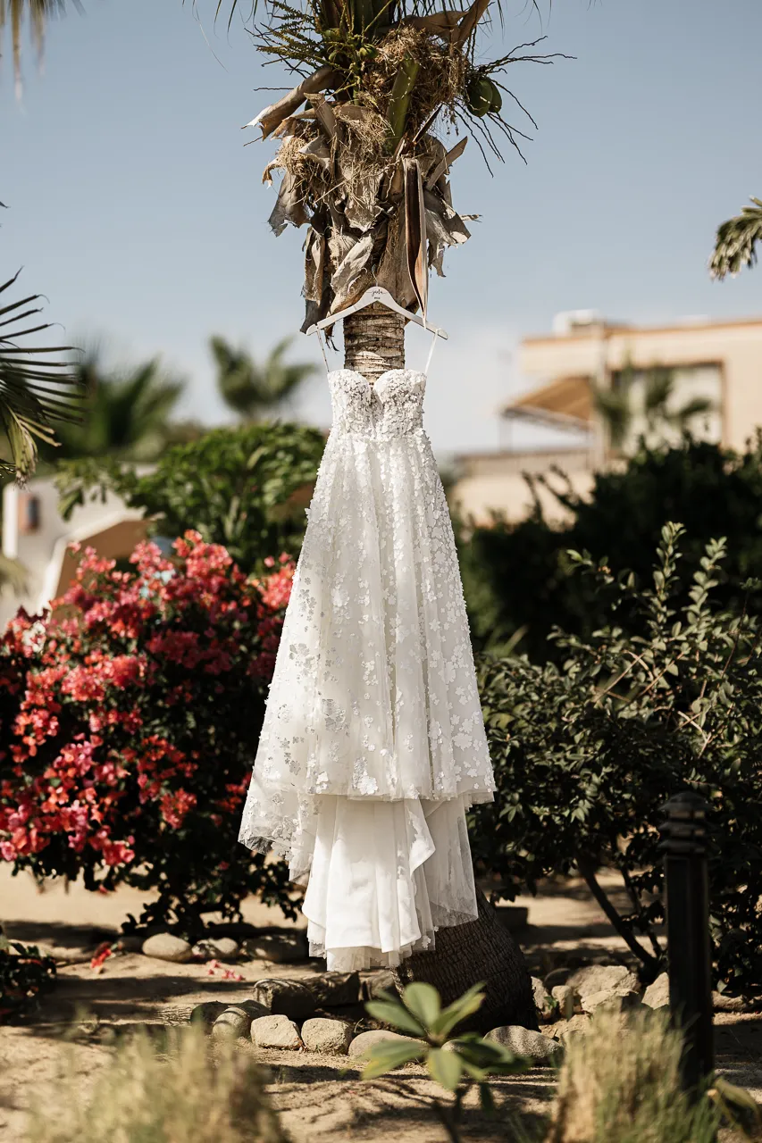 Cabo wedding photography by Carlos Plazola
