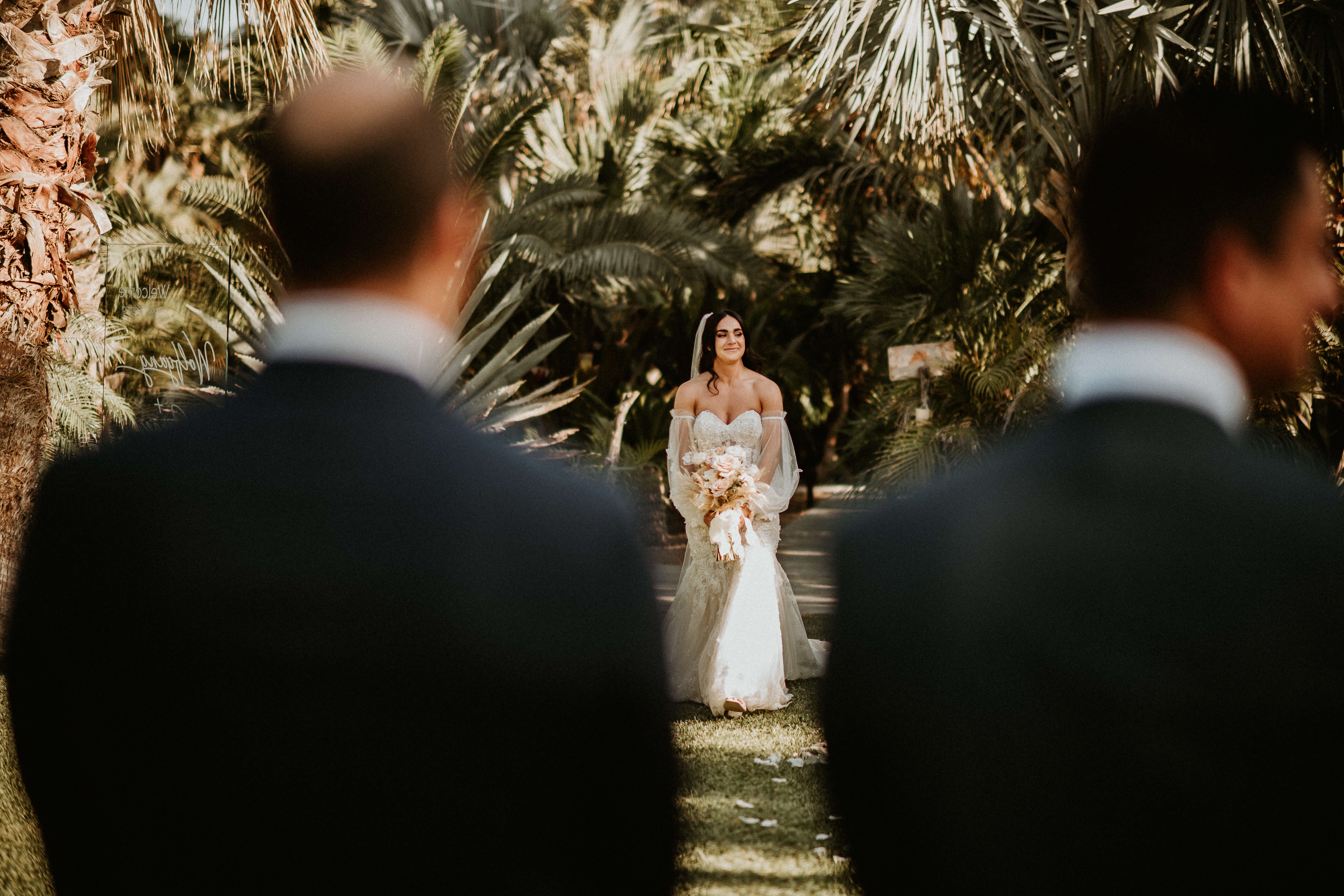 San José del Cabo wedding photography by Carlos Plazola — image 2